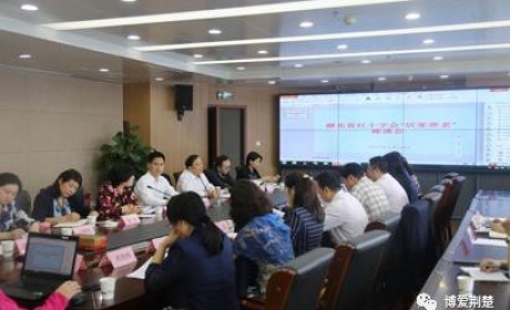 湖北省红十字会组织召开 “居家养老”座谈会