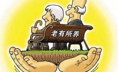 南京政府购买居家养老服务，对失能老人每月补贴700元