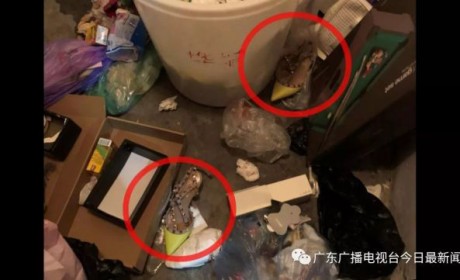 戳心！广州女子15万名牌鞋放房门口 被家政当垃圾扔了