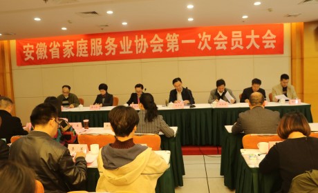 安徽省成立家庭服务业协会