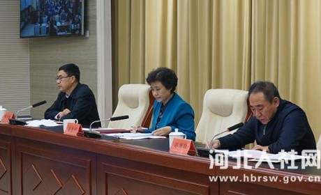 河北省召开农民工工作暨家庭服务业工作电视电话会议