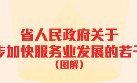 图文解读：湖北省人民政府关于进一步加快服务业发展的若干意见