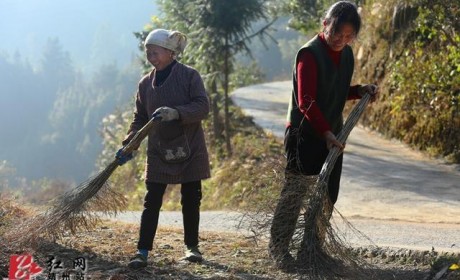 靖州：精准扶贫与乡村建设相结合 聘贫困户做农村保洁员